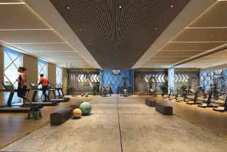 Gymnasium